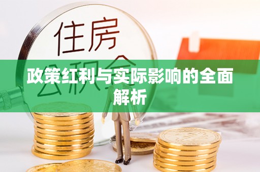 奉贤政策红利与实际影响的全面解析
