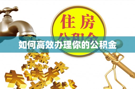 奉贤如何高效办理你的公积金
