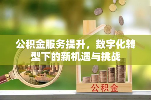 奉贤公积金服务提升，数字化转型下的新机遇与挑战