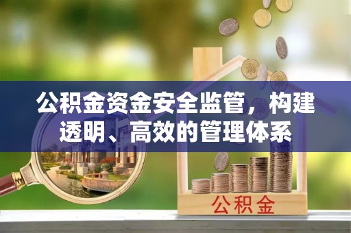 奉贤公积金资金安全监管，构建透明、高效的管理体系