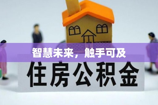 奉贤智慧未来，触手可及