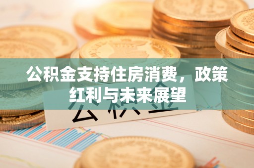 奉贤公积金支持住房消费，政策红利与未来展望